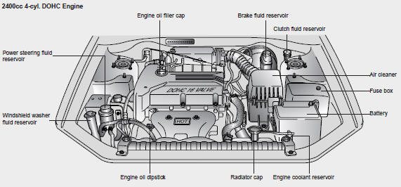 Kia Optima: Engine Compartment - Maintenance - Kia Optima MS/Magentis